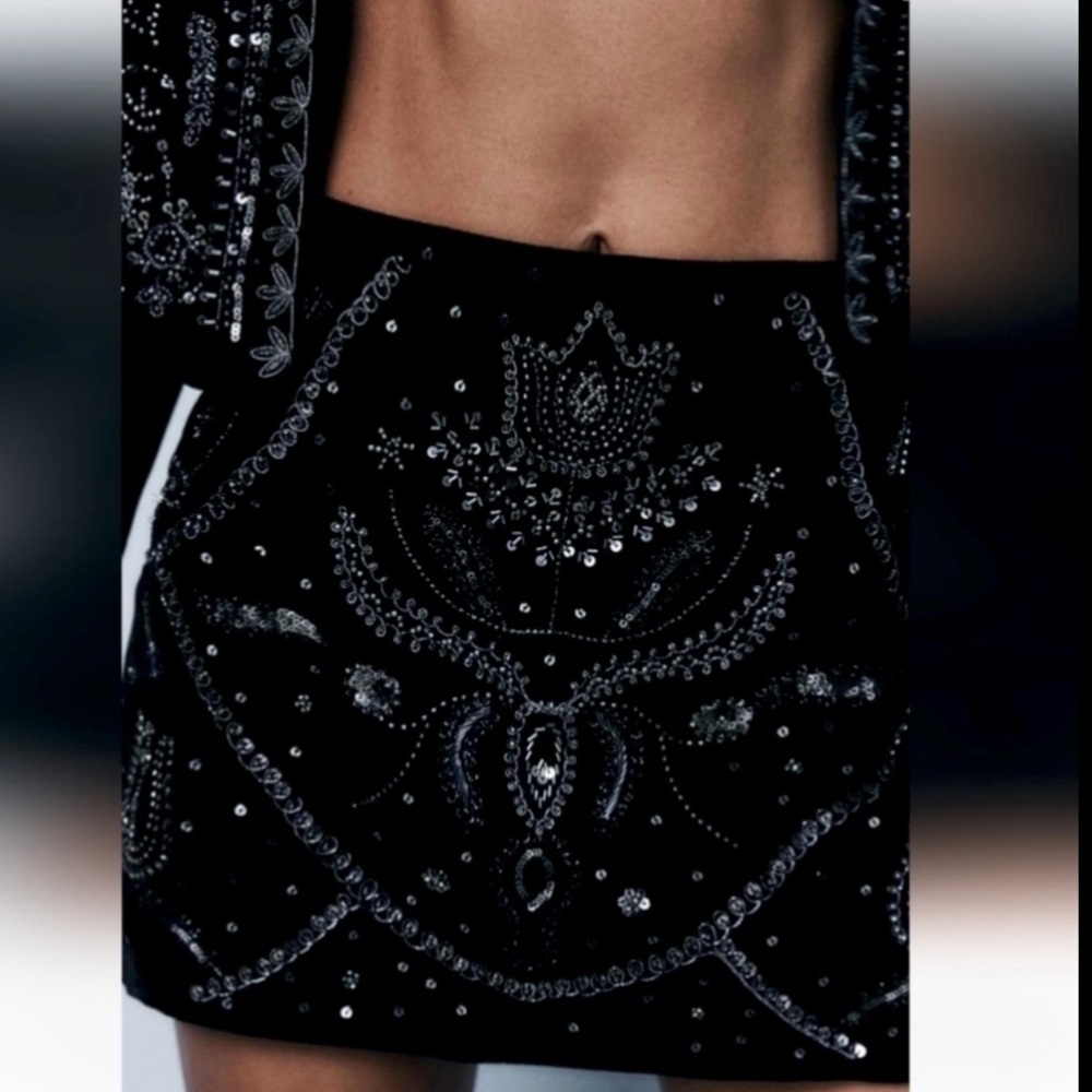 NEW ZARA EMBROIDERED VELVET SKIRT SIZE S
🚨 NO DISCOUNT ON THIS SKIRT - Picture 8 of 9